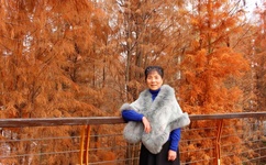 乱码一二三乱码又大又粗